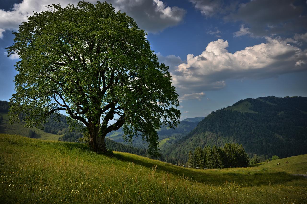 Berghues Schratt - Einfach Anders - Ihr Vegetarisches Und Veganes Biohotel Oberstaufen Exteriér fotografie