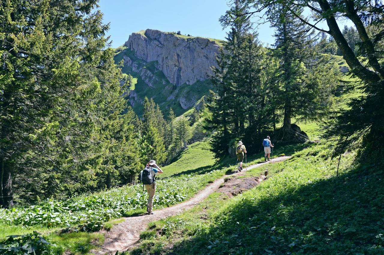Berghues Schratt - Einfach Anders - Ihr Vegetarisches Und Veganes Biohotel Oberstaufen Exteriér fotografie