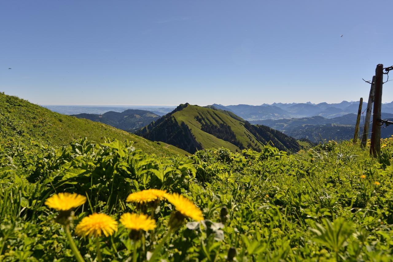 Berghues Schratt - Einfach Anders - Ihr Vegetarisches Und Veganes Biohotel Oberstaufen Exteriér fotografie