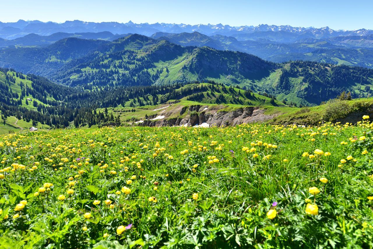 Berghues Schratt - Einfach Anders - Ihr Vegetarisches Und Veganes Biohotel Oberstaufen Exteriér fotografie